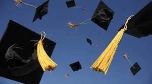 Lisans Bitirme Ödevi/Proje Danışmanlığı